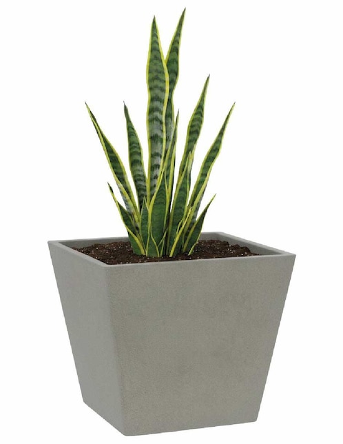 Maceta Maceta Angular Clavel de plástico 1