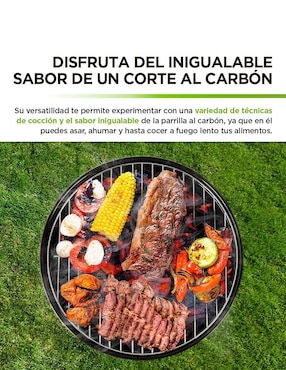 Asador carbón Hikeo portátil de acero inoxidable