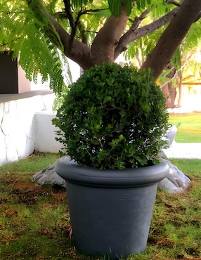 Maceta New Garden de plástico con sistema automático de riego