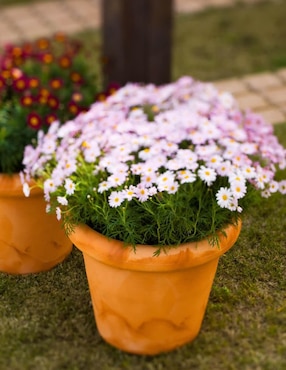 Maceta New Garden de plástico con sistema automático de riego