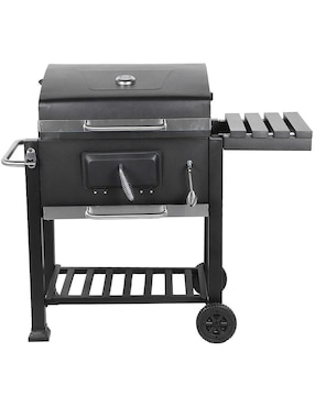 Asador de carbón Aquila Master