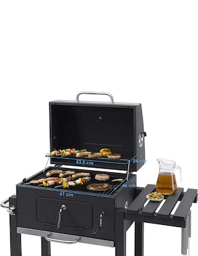 Asador de carbón Aquila Master