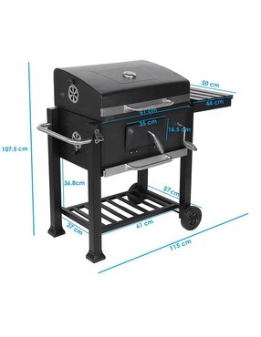 Asador de carbón Aquila Master