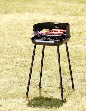 Asador de carbón Naterial BBQ