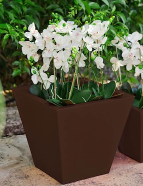 Maceta New Garden Clavel 30 de plástico con sistema automático de riego