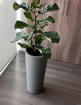 Maceta New Garden Ficus 60 de plástico con sistema automático de riego