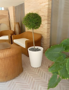 Maceta New Garden Gerbera 33 de plástico con sistema automático de riego