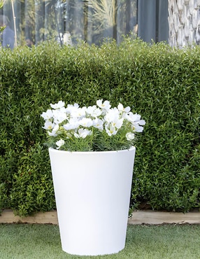 Maceta New Garden Gerbera 45 de plástico con sistema automático de riego