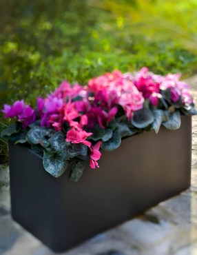 Maceta New Garden Jacaranda de plástico con sistema automático de riego