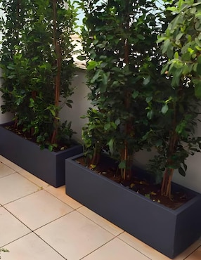 Maceta New Garden Jacaranda de plástico con sistema automático de riego