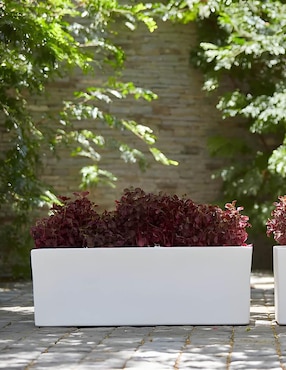 Maceta New Garden de plástico con sistema automático de riego