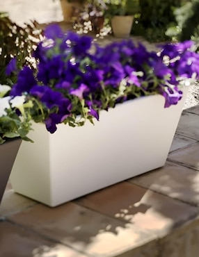 Maceta New Garden Jazmín de plástico con sistema automático de riego