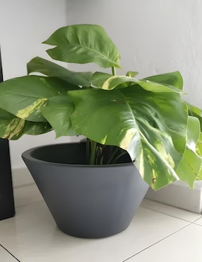 Maceta New Garden Lirio de plástico con sistema automático de riego