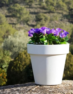 Maceta New Garden Magnolia de plástico con sistema automático de riego