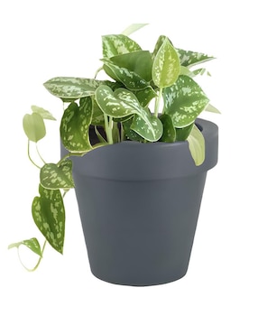 Maceta New Garden Magnolia de plástico con sistema automático de riego