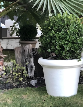 Maceta New Garden de plástico con sistema automático de riego