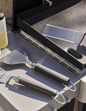 Set de accesorios weber