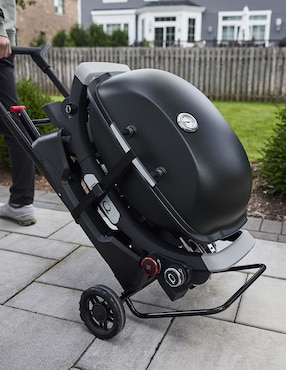 Carrito base para asador Weber