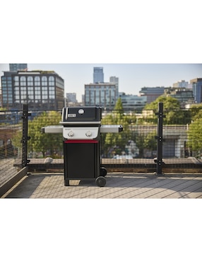Asador de gas Weber E-210
