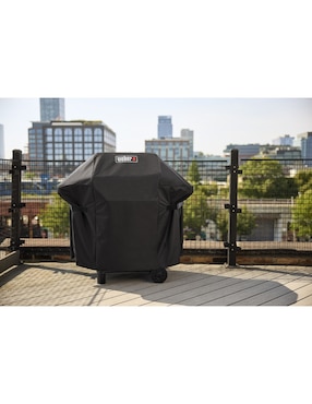 Asador de gas Weber E-210