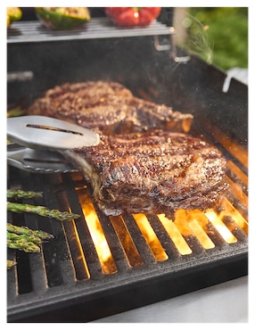 Asador de gas Weber Spirit EP-435