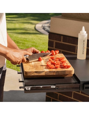 Plancha de gas Blackstone Iron Forged 2310