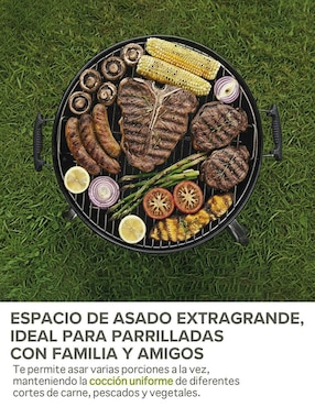 Asador carbón Hikeo portátil de acero inoxidable