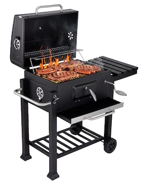 Asador de carbón Gardecor