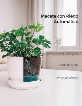 Set de macetas Elly de plástico con sistema automático de riego