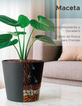 Maceta Elly Cónica Gerbera de plástico