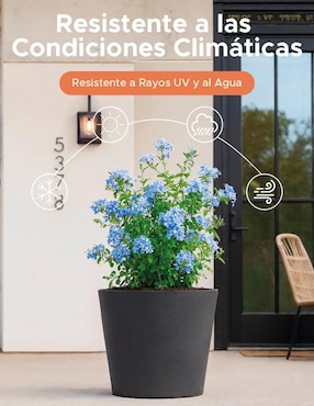 Maceta Elly Cónica Gerbera de plástico
