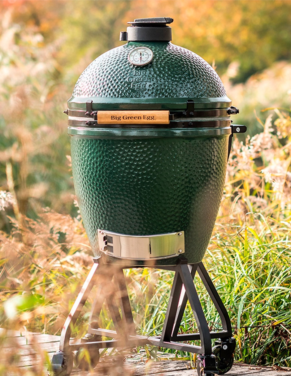 Asador de carbón Egg Large 2