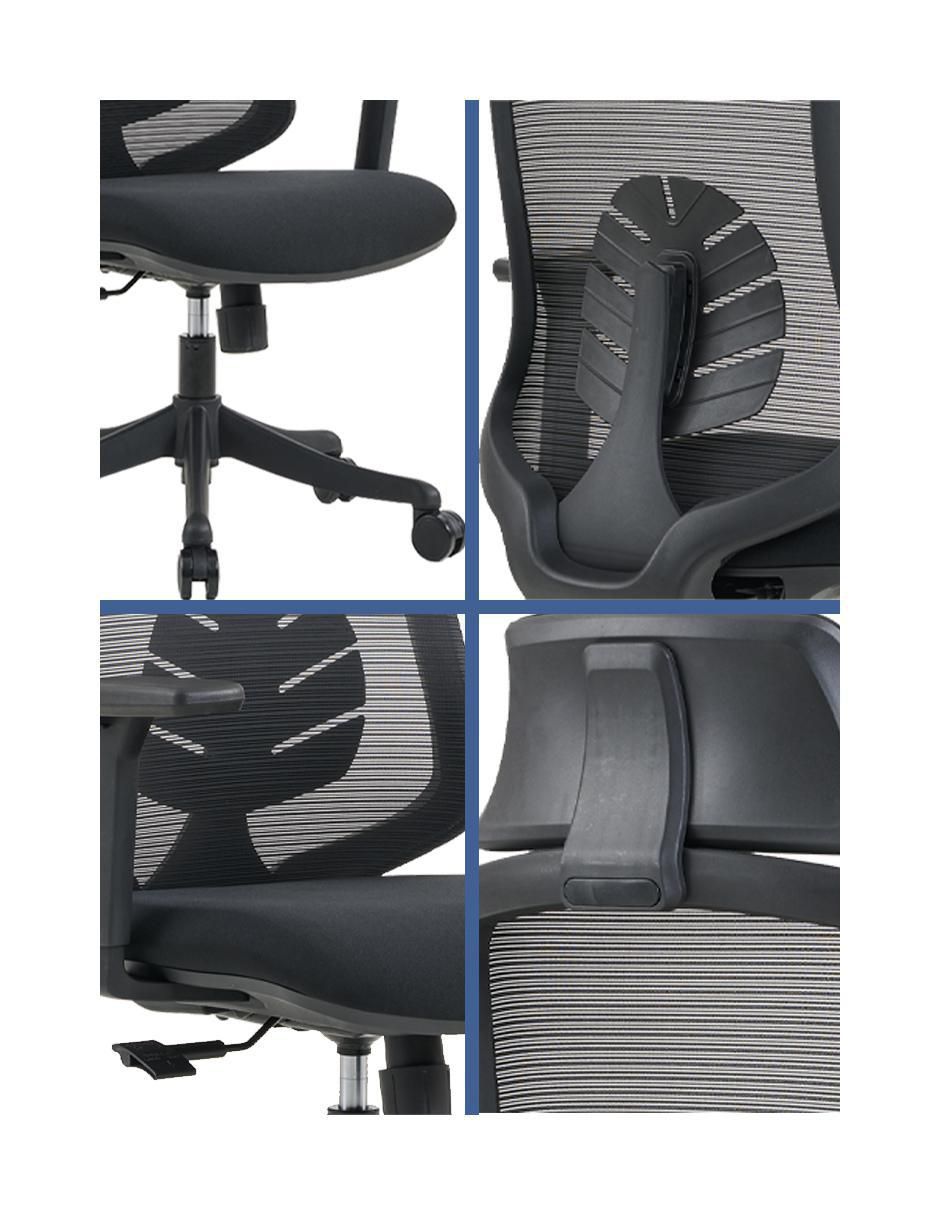 Silla 5