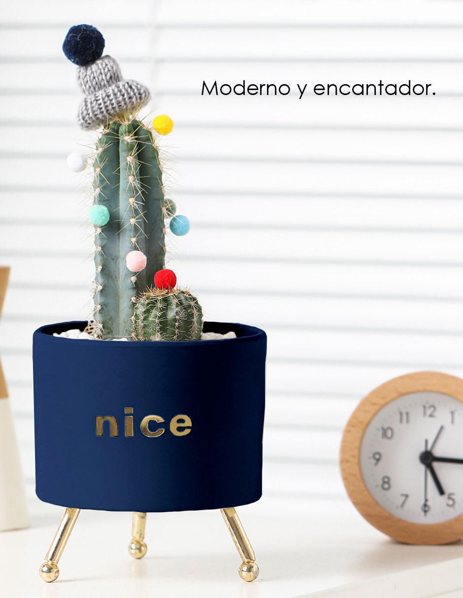 Maceta con base Nórdica de cerámica con sistema automático de riego 2