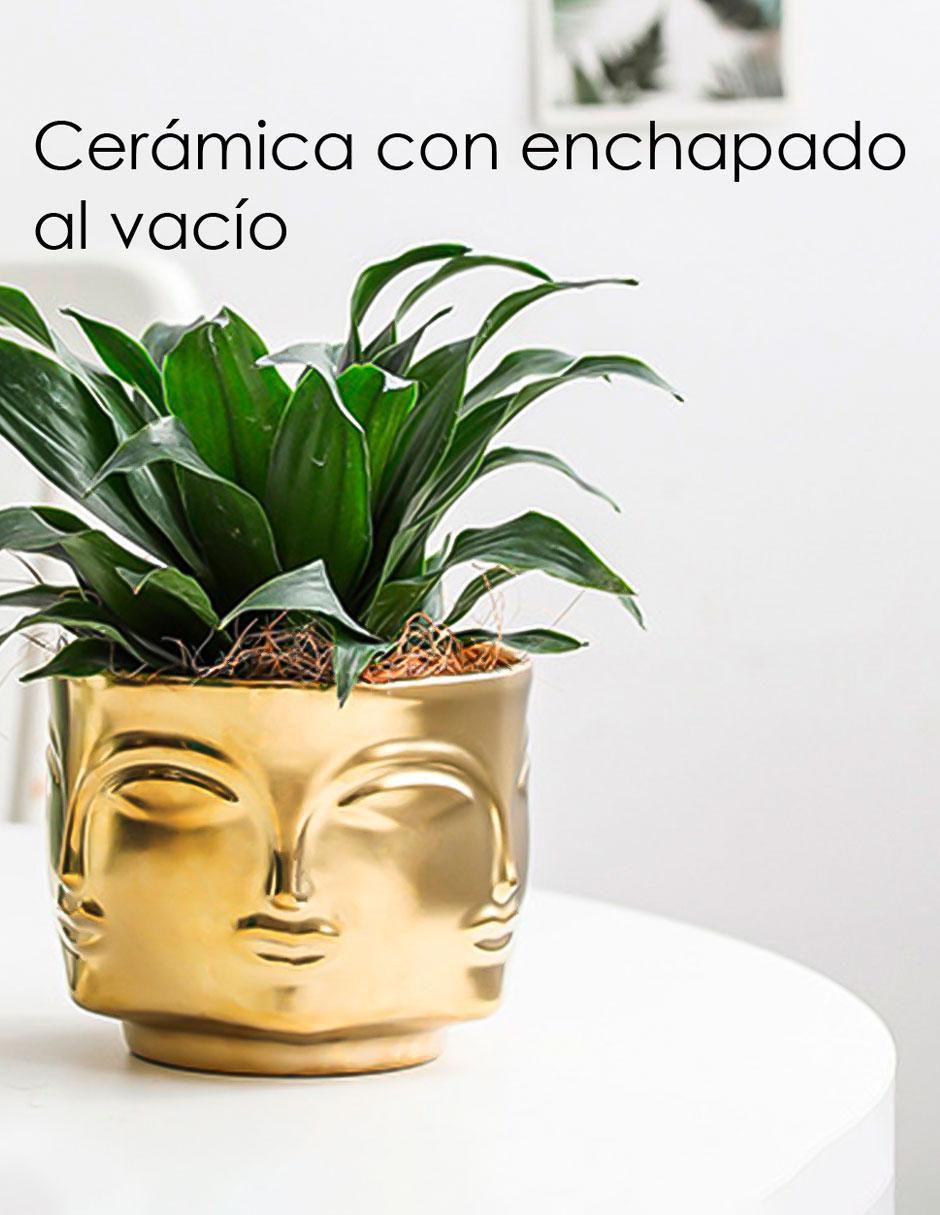Maceta de cerámica con sistema automático de riego 5