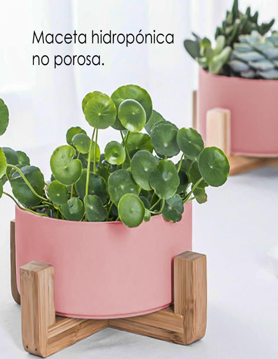 Maceta de cerámica 2