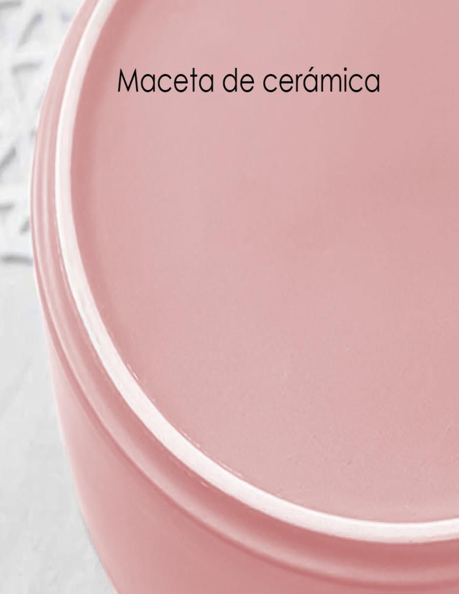 Maceta de cerámica 6