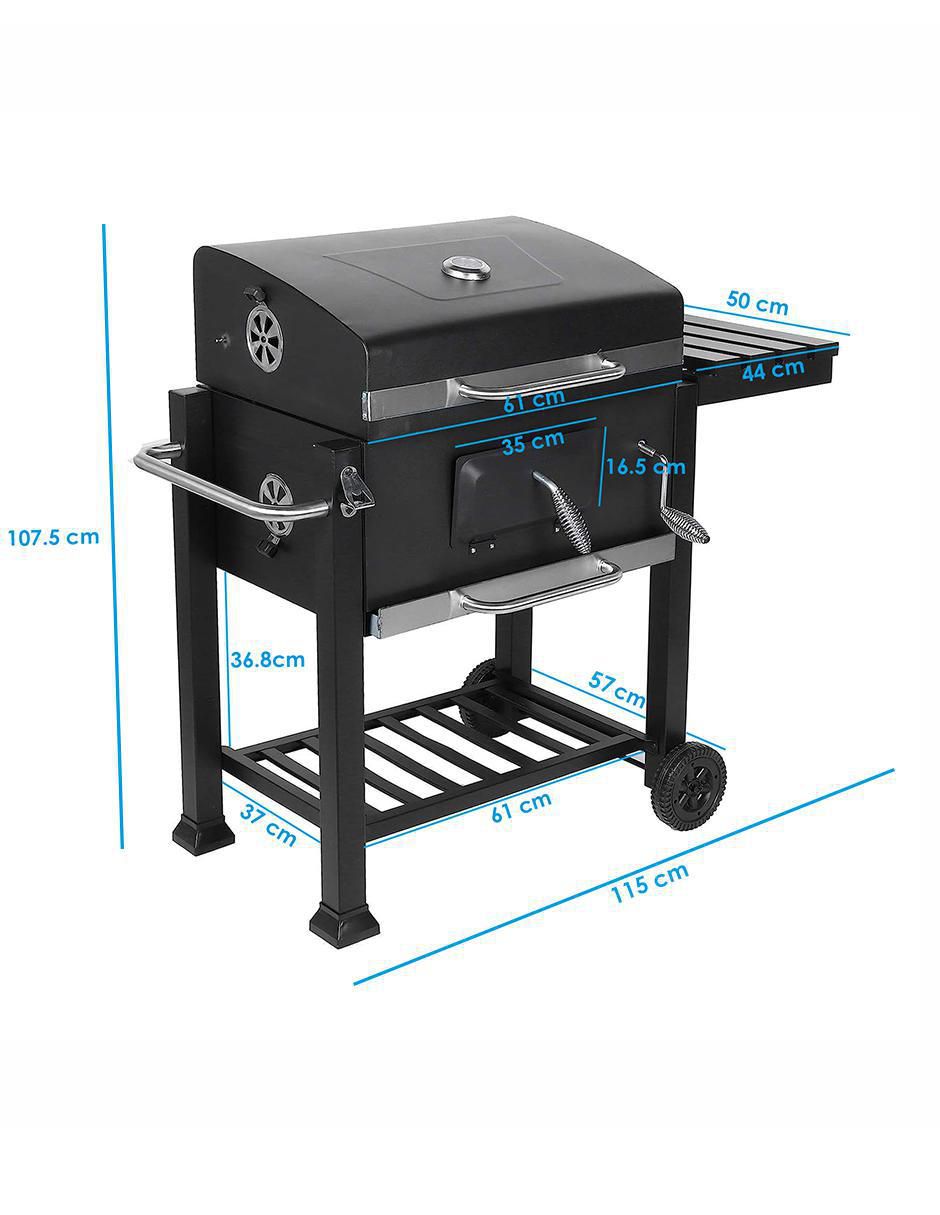 Asador de carbón Master 9