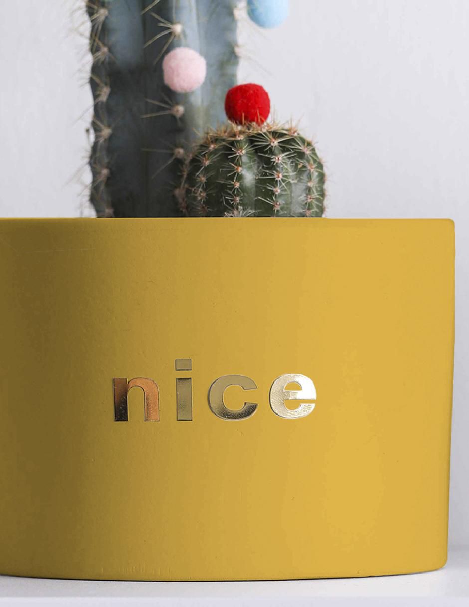 Maceta ilios innova sin familia "de" cerámica "con" no