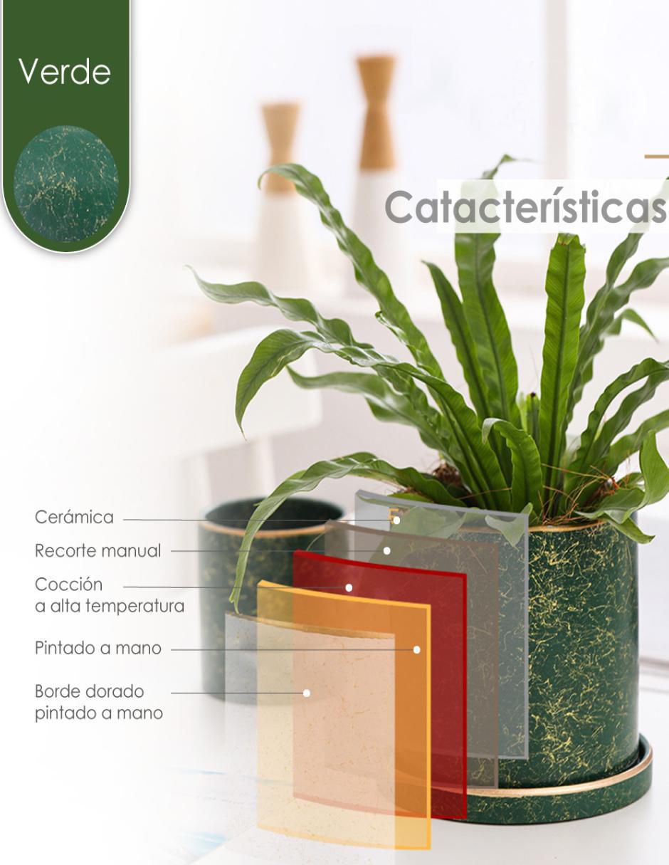 Maceta de cerámica 2