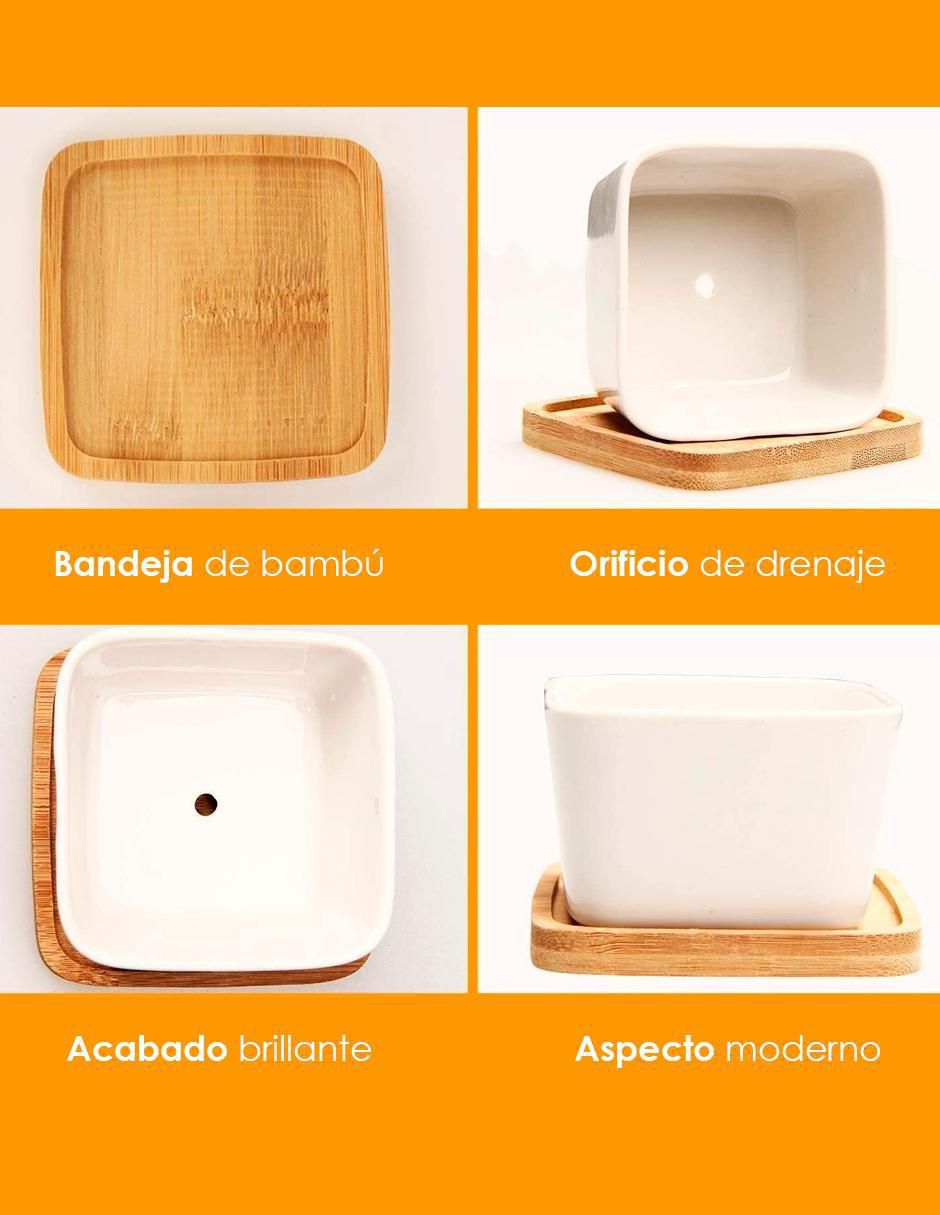 Maceta de cerámica 2