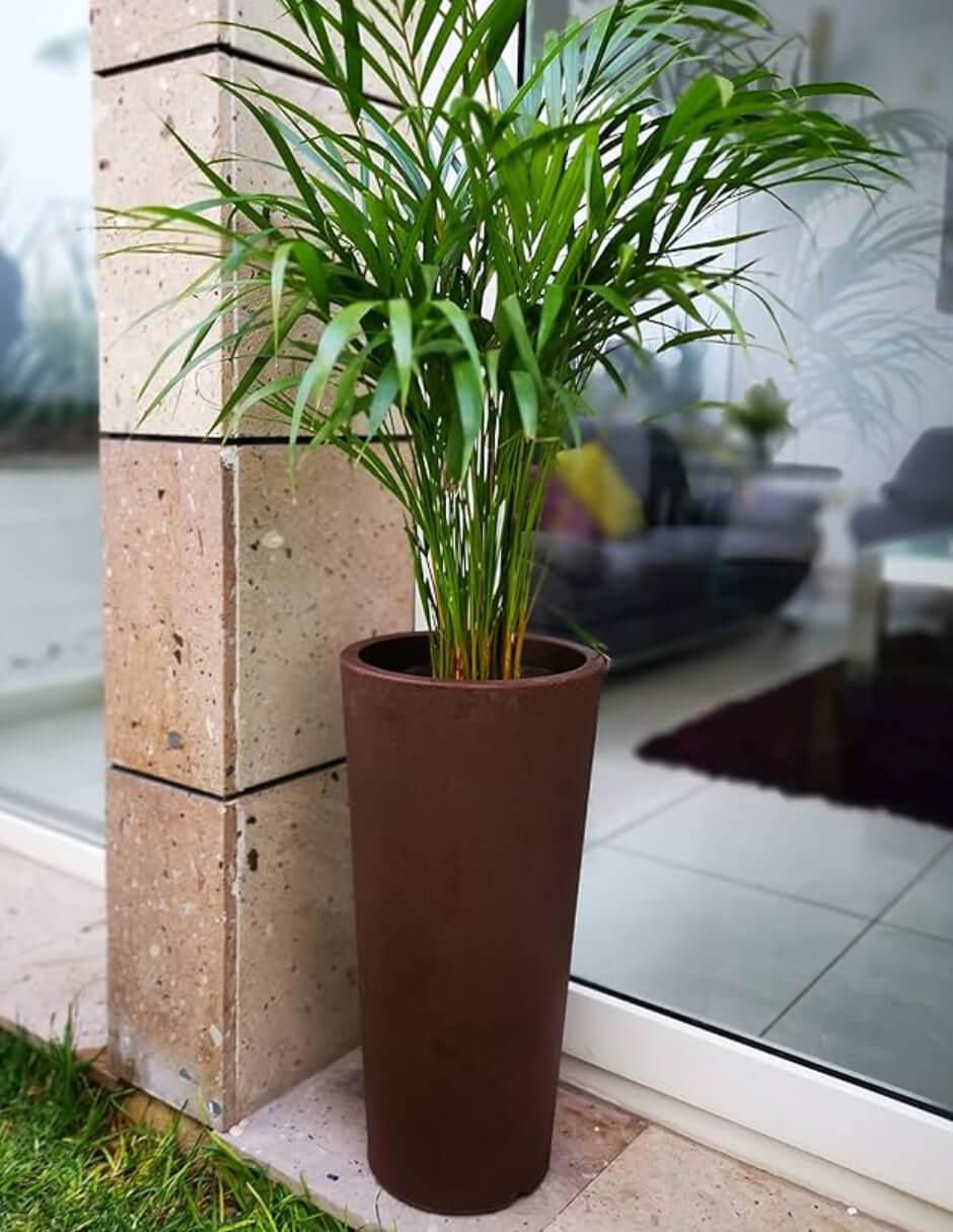 Maceta Ficus 60 de plástico con sistema automático de riego 2