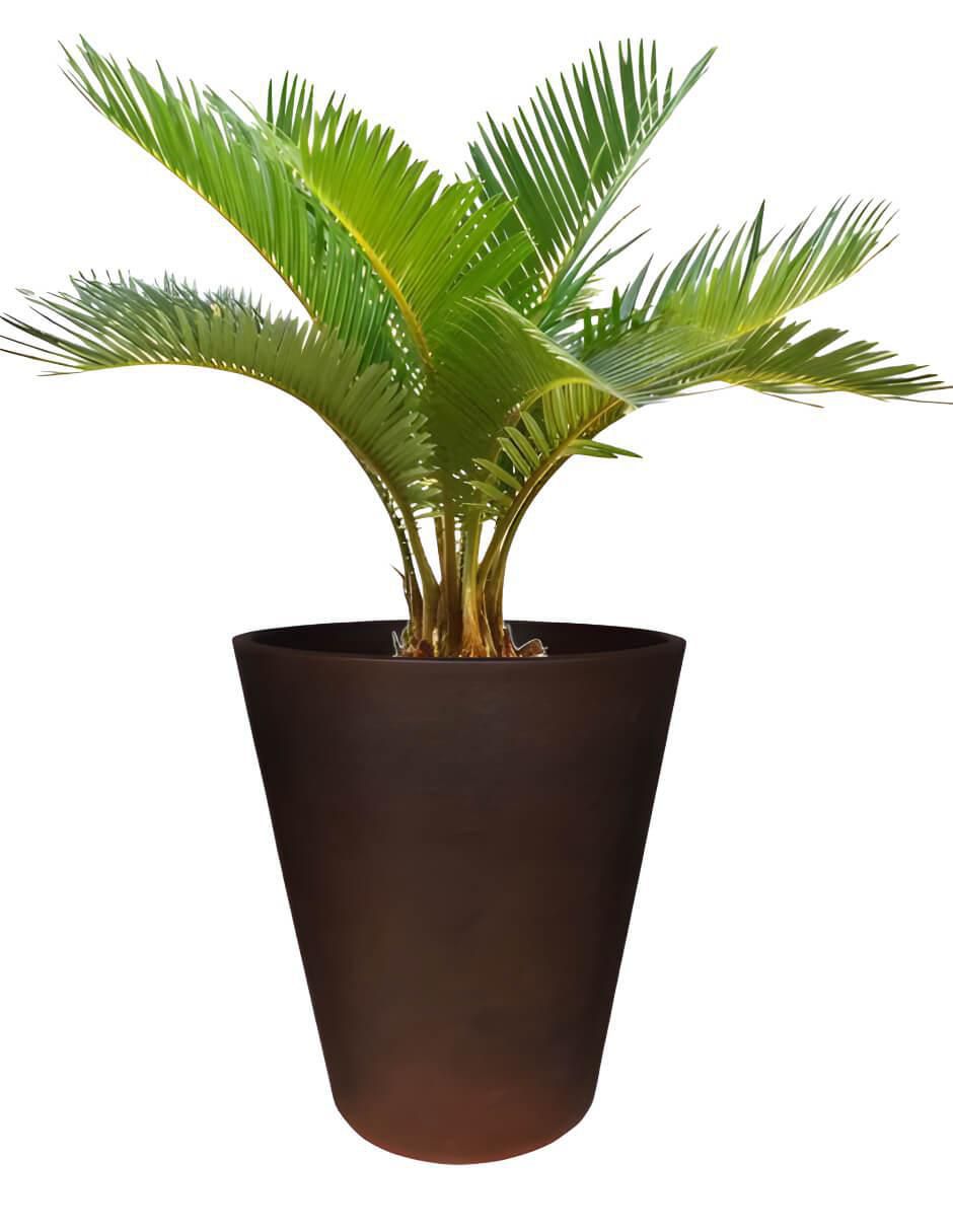 Maceta Gerbera 45 cm de plástico con sistema automático de riego 2