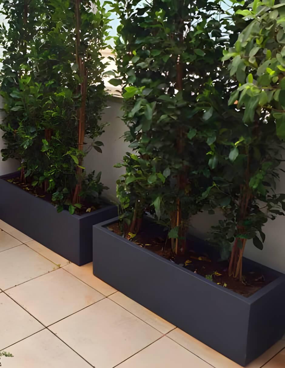 Maceta Jacaranda de plástico con sistema automático de riego 2