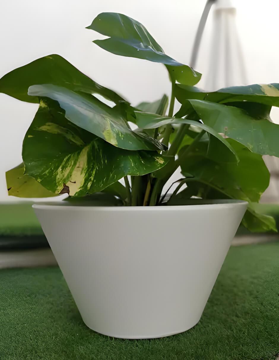 Maceta Lirio de plástico con sistema automático de riego 2