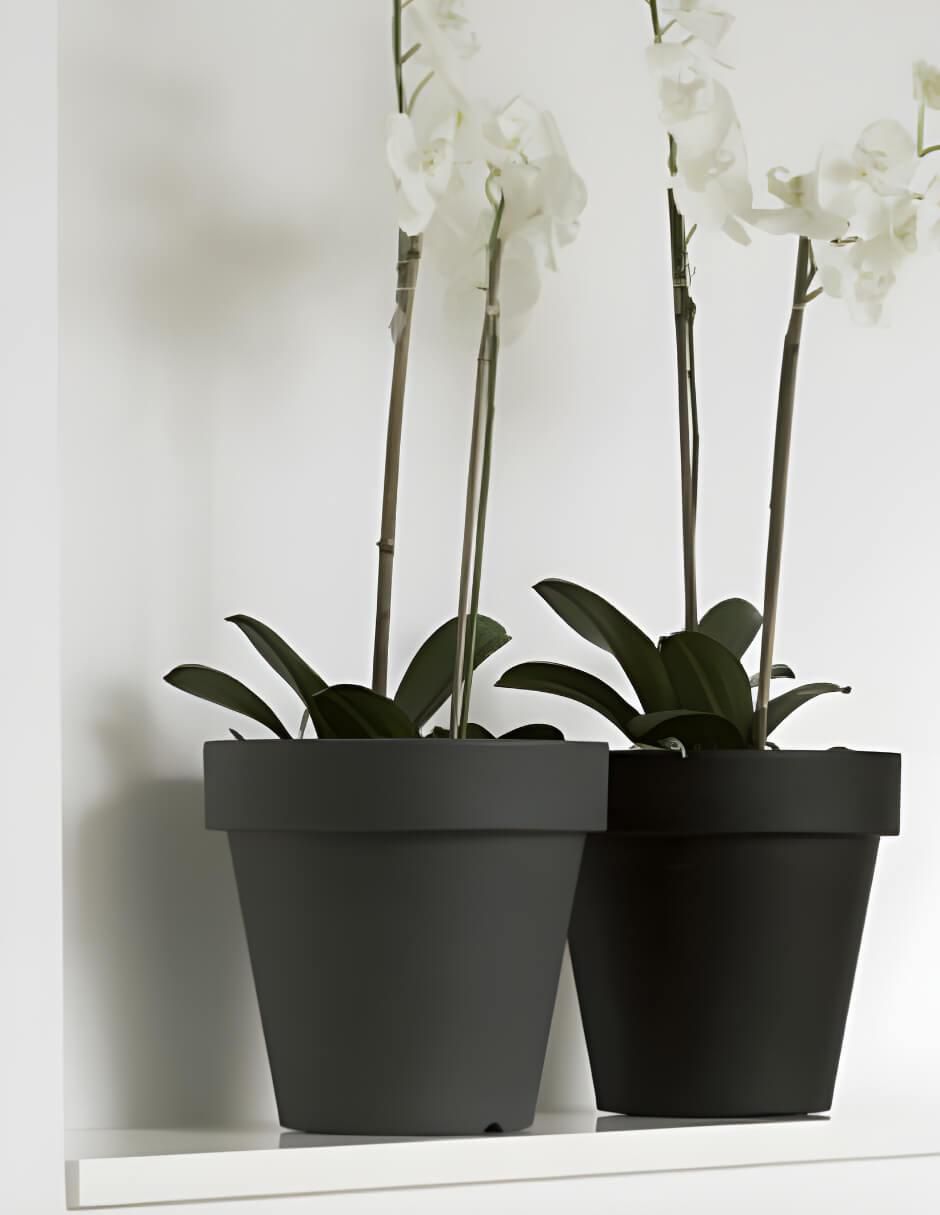 Maceta Magnolia de plástico con sistema automático de riego 2