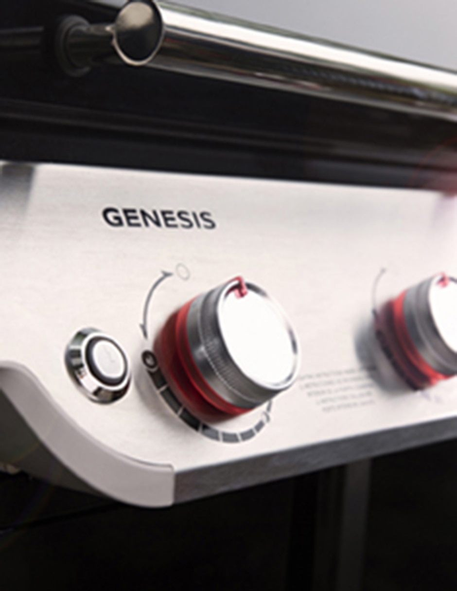 Asador de gas Genesis E-315 3