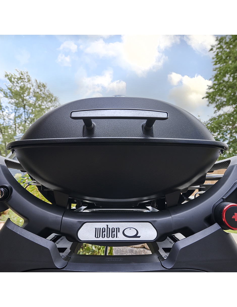 Asador de gas Q2800 PLUS 2