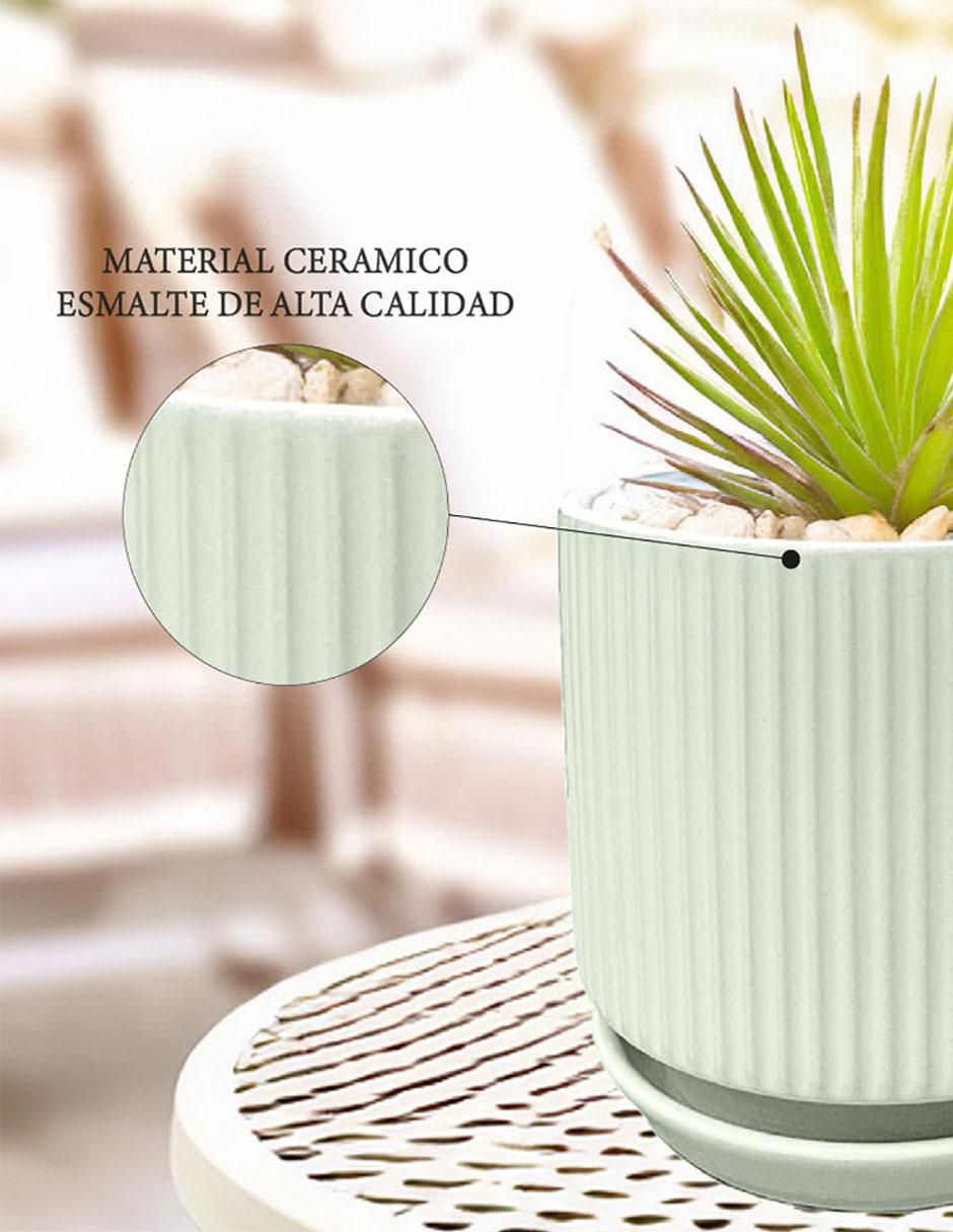 Maceta con base de cerámica 5