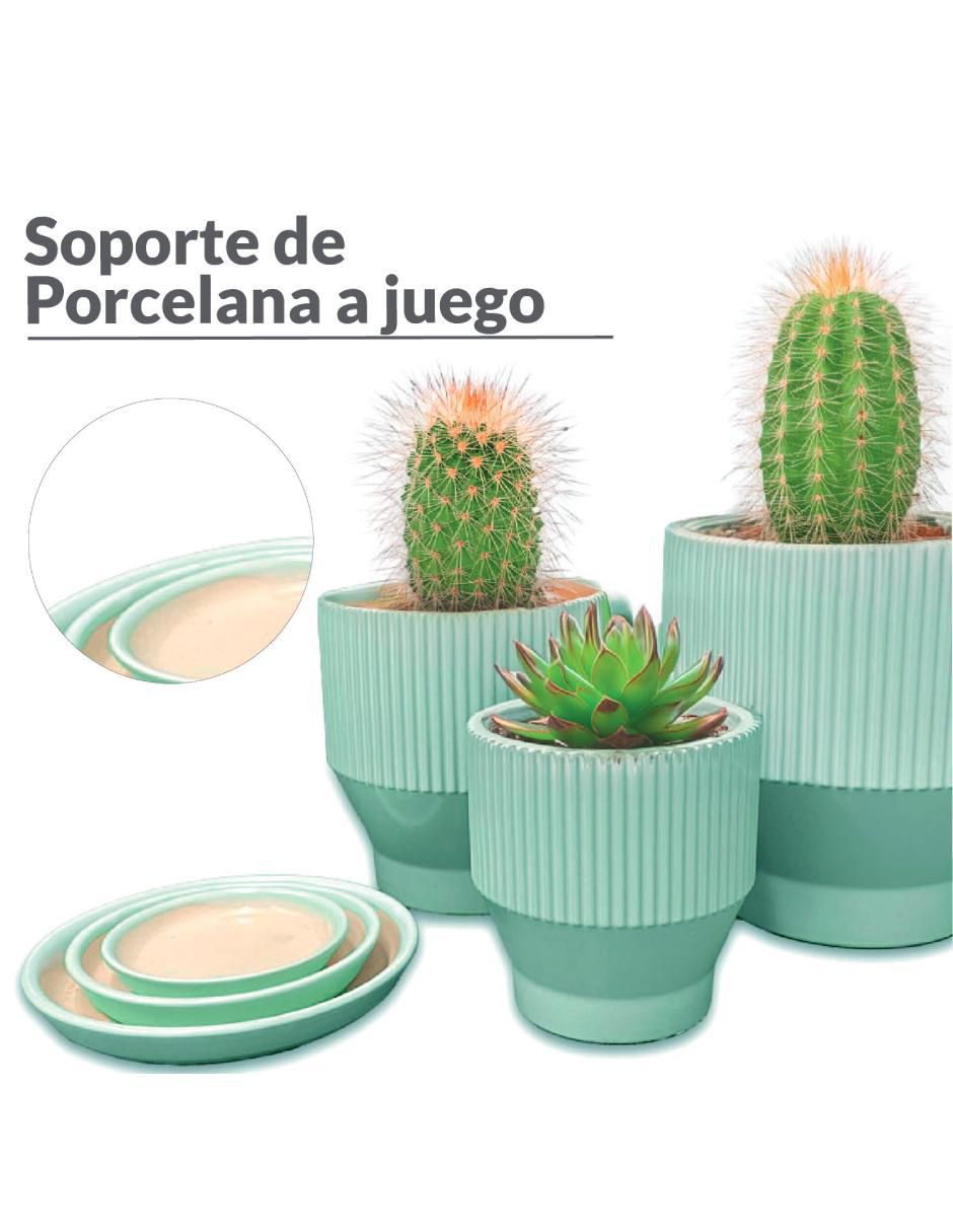 Maceta con base de cerámica 4